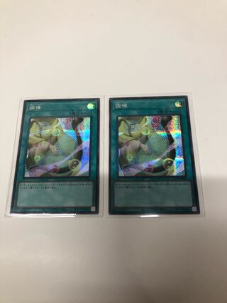 Attunement Secret Rare QCCU-JP056