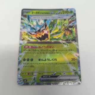 Ogapon Midori-no-men ex RR 016/101