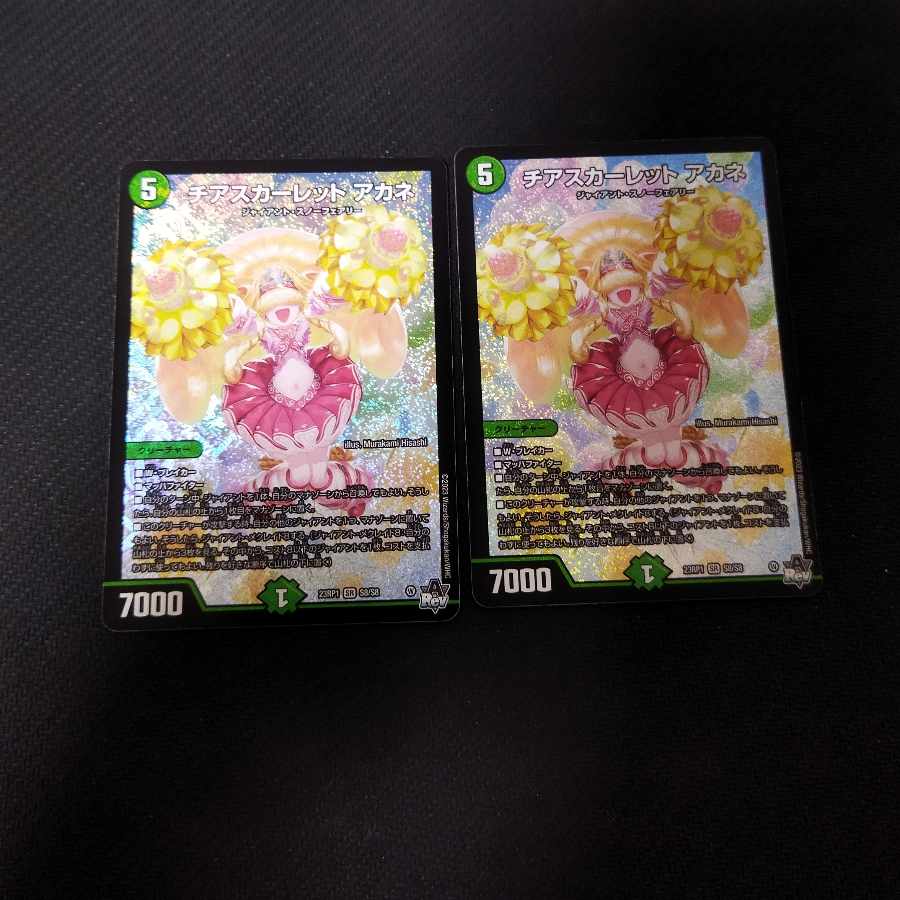 Cheer scarlet Whitney SR S8/S8 2pcs.