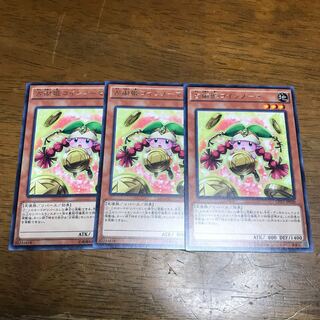 占術姫コインノーマ R