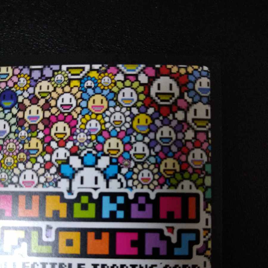 【美品】Murakami.Flowers 108フラワーズ REVISED UR 日本語版