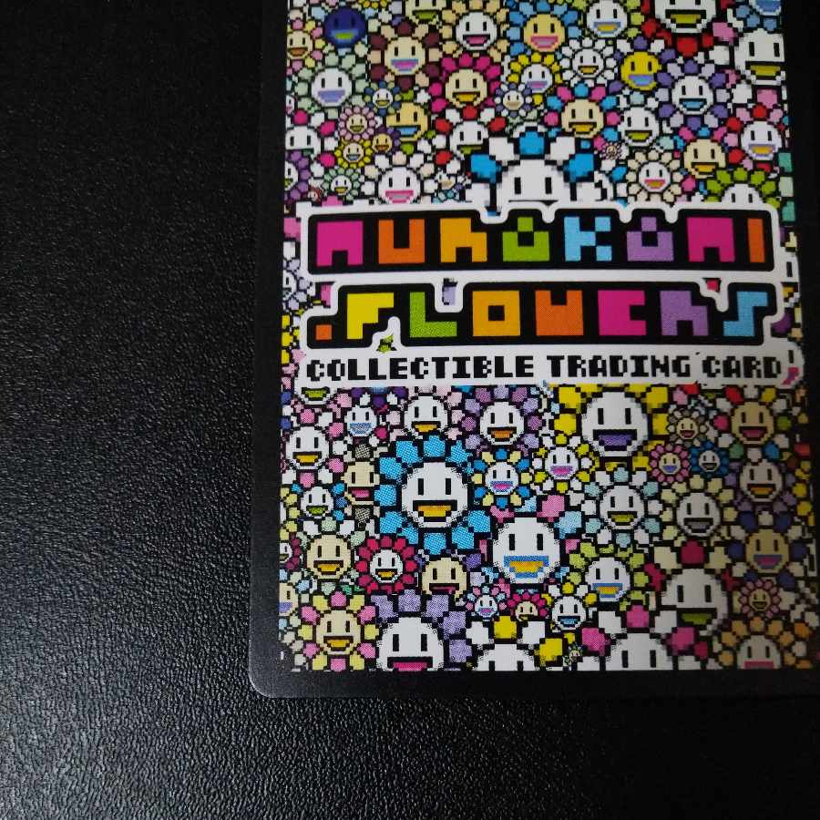 【美品】Murakami.Flowers 108フラワーズ REVISED UR 日本語版