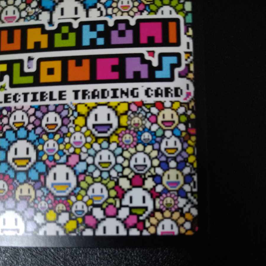 【美品】Murakami.Flowers 108フラワーズ REVISED UR 日本語版