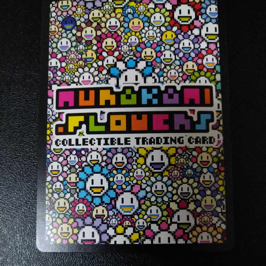 【美品】Murakami.Flowers 108フラワーズ REVISED UR 日本語版