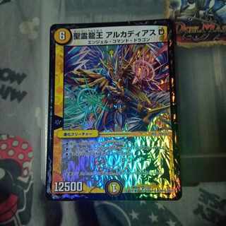 セット割引 聖霊龍王 アルカディアスD VR 1/37