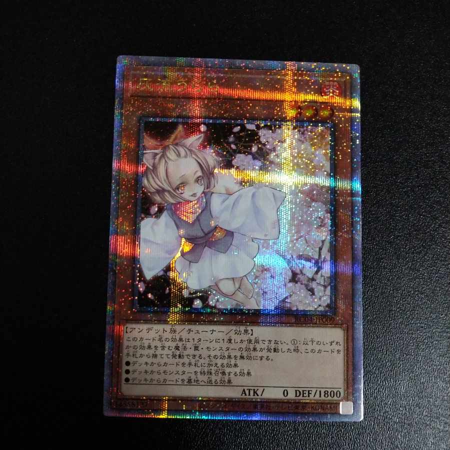 Ash Blossom & Joyous Spring