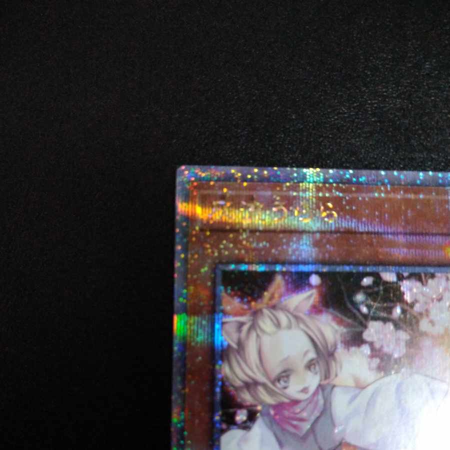 Ash Blossom & Joyous Spring