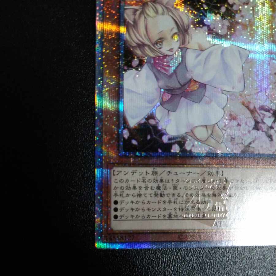 Ash Blossom & Joyous Spring