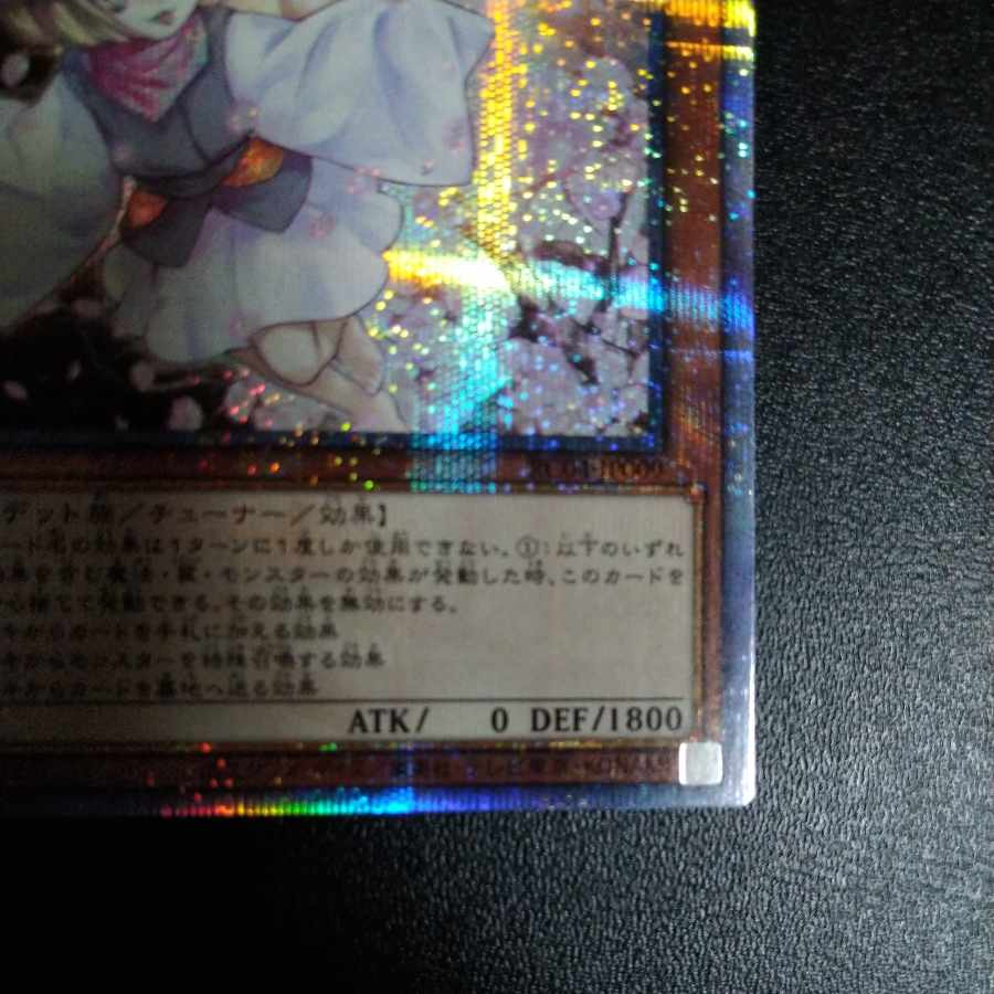 Ash Blossom & Joyous Spring