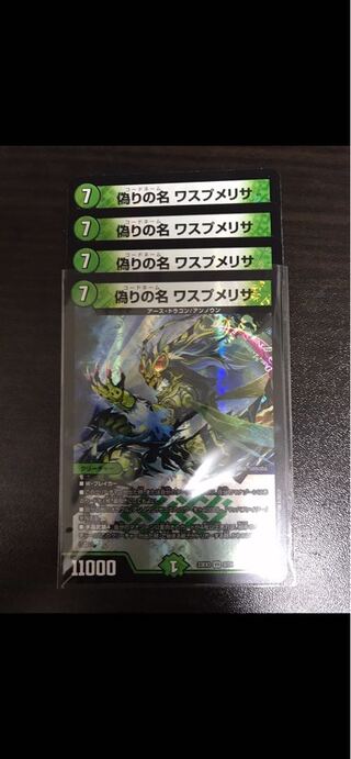 Jilt's name Wasp Melisa VR 8/74