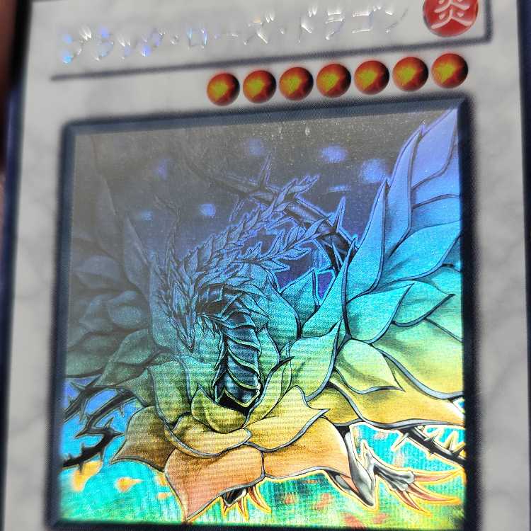 Black Rose Dragon holographic rare JP039
