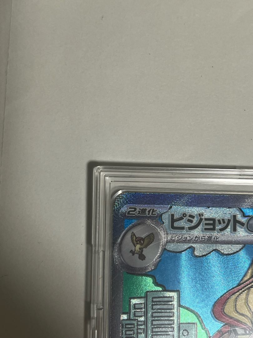 Pidgeotex SAR 136/108