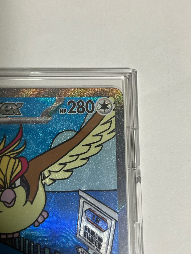 Pidgeotex SAR 136/108