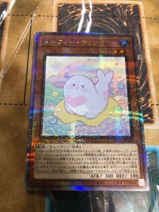 Melfi Lassi QCSE QCCU-JP175