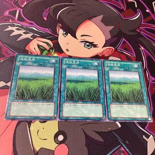 湿地草原 ノーマル JP054