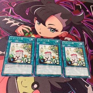 Naturia Forest Normal JP051