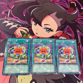 Seed of Deception Normal JP046