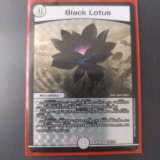 専用 Black Lotus