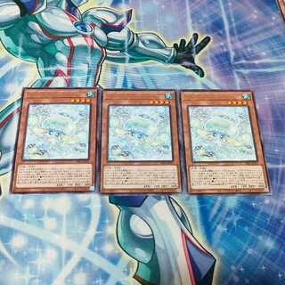 Multyamy Purulia rare INFO-JP027