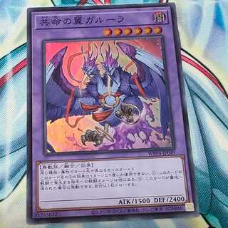 Kangaskhan Super Rare WPP4-JP049