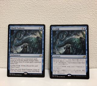 サメ台風　2枚セット