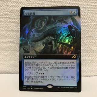 サメ台風　拡張アート　foil