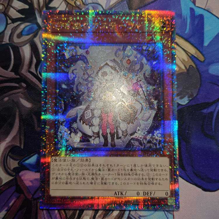 Astrella of the White Forest QCSE, 25th Sikh INFO-JP013 1枚