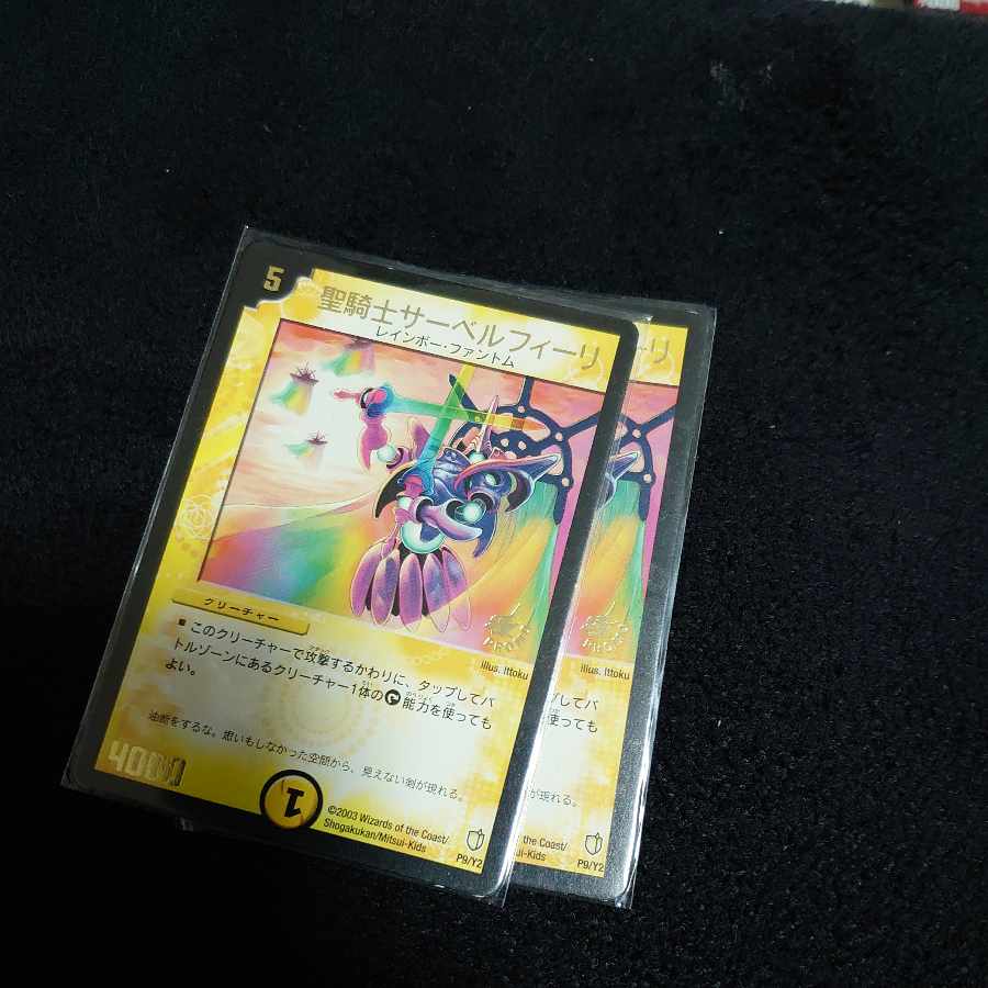 聖騎士サーベルフィーリ P9b/Y2 1枚