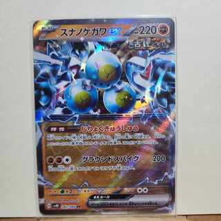 スナノケガワex RR 042/066