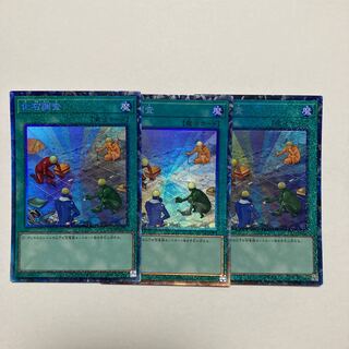 化石調査 コレクターズレア JP054