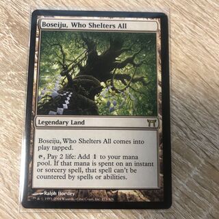 MTG NEO 耐え抜くもの、母聖樹　日本語 Foil 2枚セット 母聖樹」の激安通販 | magi