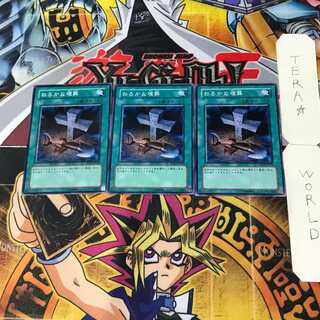 Foolish Burial 10 Normal, set of 3 Tera.