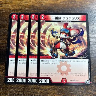 First team Tutu Squirrel C 11/12