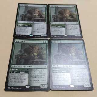 MTG 恋煩いの野獣 日本語 4枚セット ELD