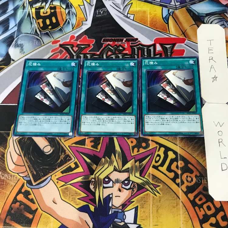 花積み 1 ノーマル 3枚セット てら