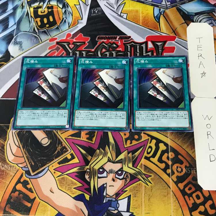 Flower Stacking 5 Normal, set of 3 Tera