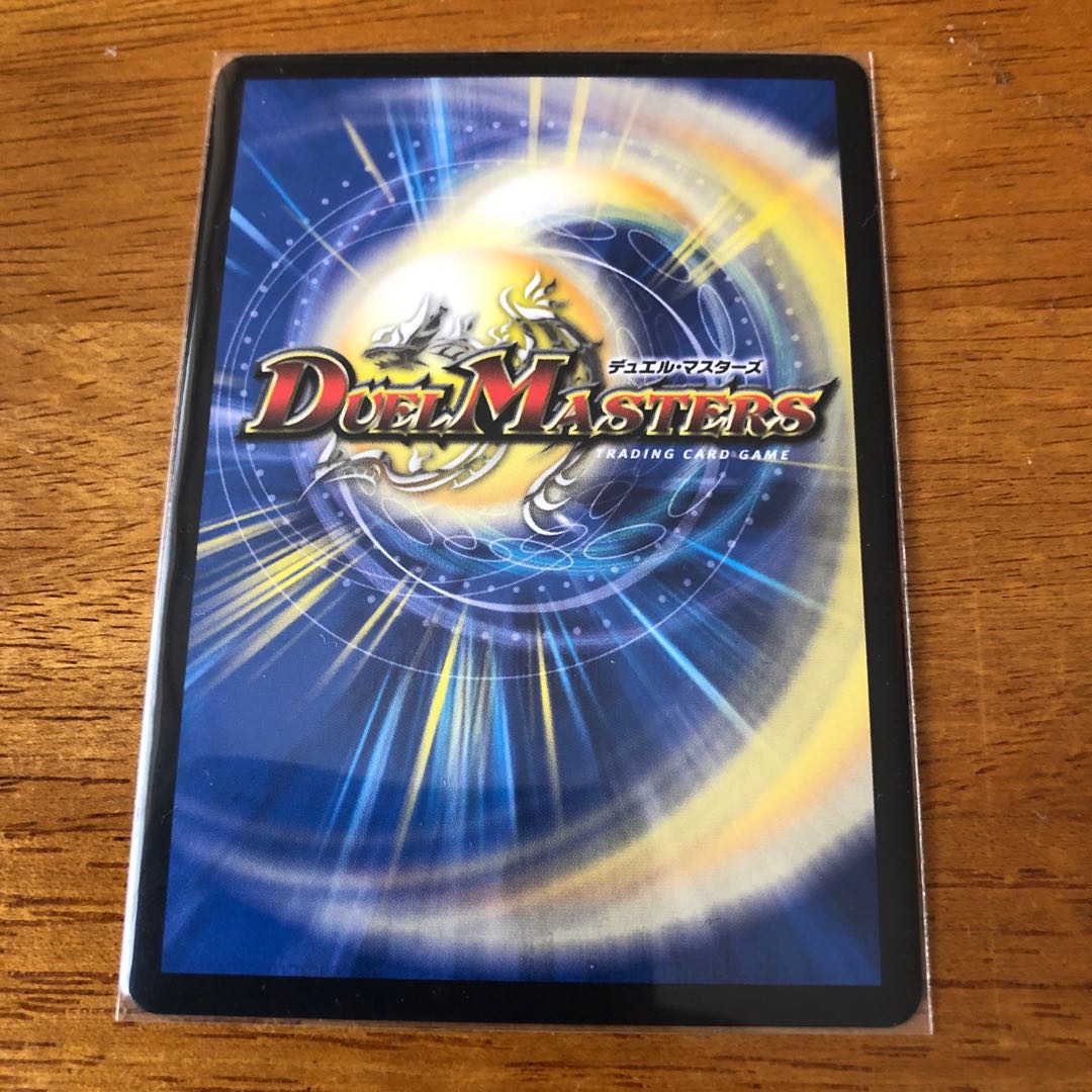 「絶対の楯騎士」