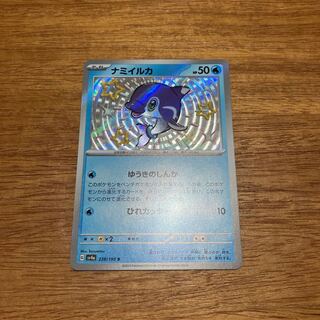 ナミイルカ S 228/190 2枚