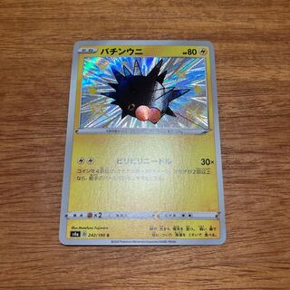 Pincurchin S 242/190