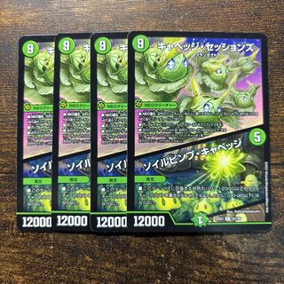 キャベッジ・セッションズ｜ソイルピンプ・キャベッジ R 52/130