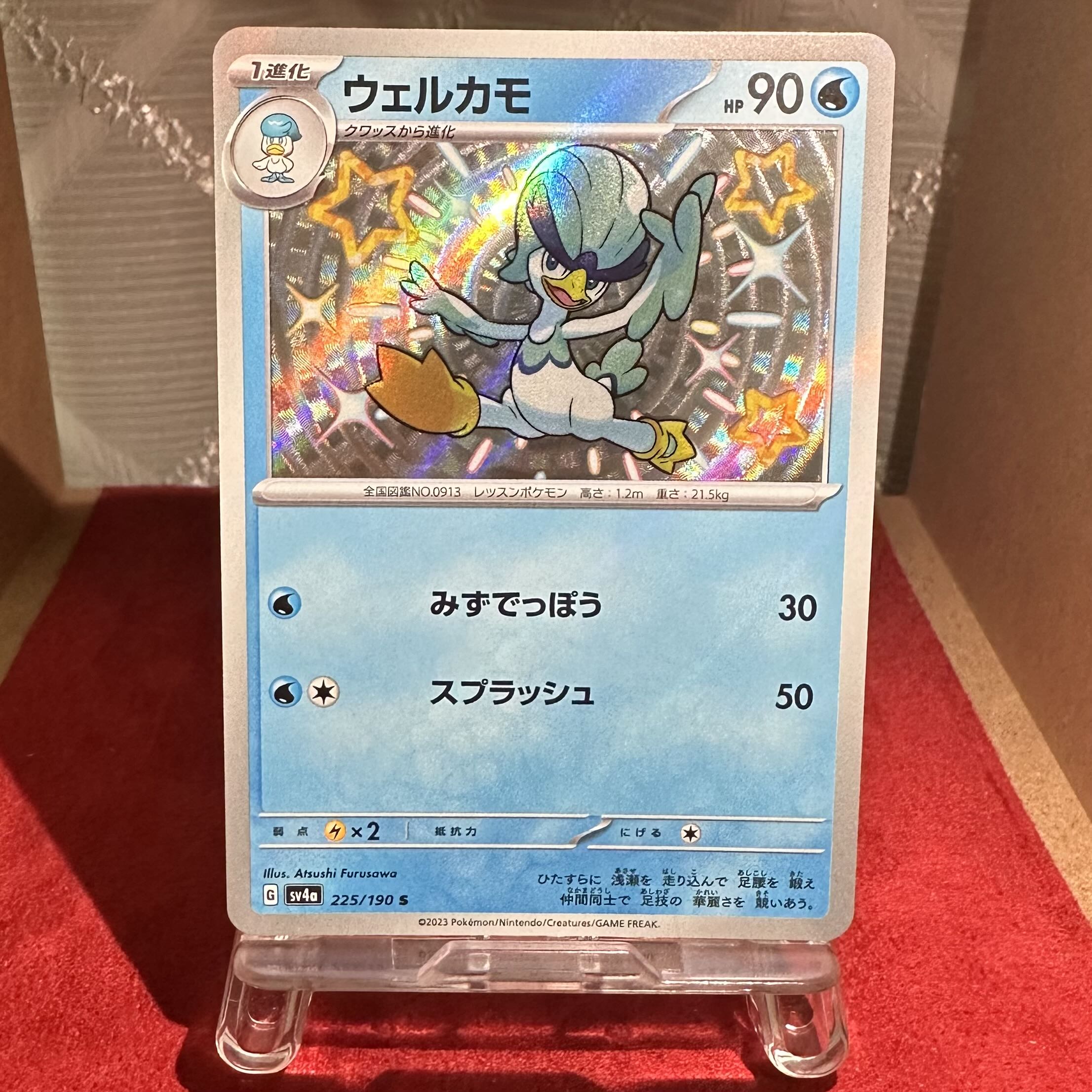 Pokemon Card [Welkamo] S