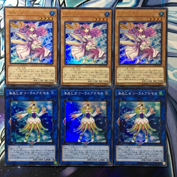 遊戯王 海晶乙女パスカルス 海晶乙女コーラルアネモネ 各3枚