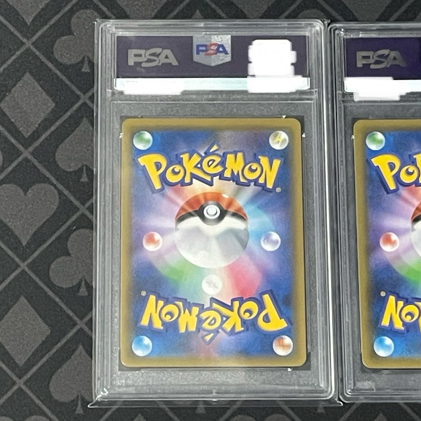 PSA10] Latios&Latias / Erika's Hospitality