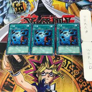 Heavy Storm 2 Normal, set of 3 Tera