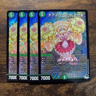 Cheer Scarlet Whitney SR S8/S8