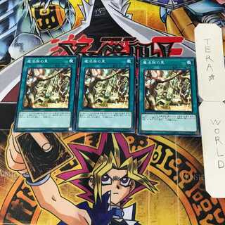 魔法族の里 1 ノーマル 3枚セット てら