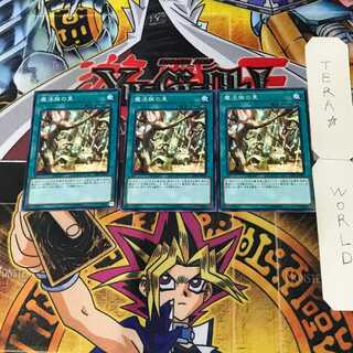 Secret Village of the Spellcasters 2 Normal, set of 3 Tera