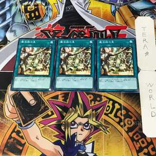 Secret Village of the Spellcasters 7 Normal 3-card set Tera