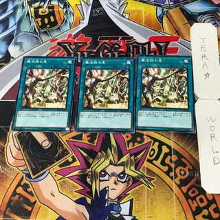 Secret Village of the Spellcasters 10 Normal, set of 3 Tera.