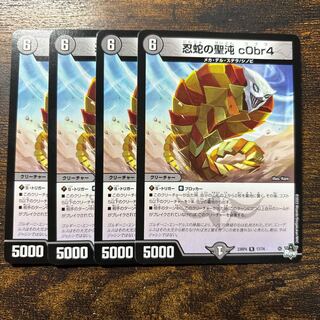 忍蛇の聖沌 c0br4 R 17/74